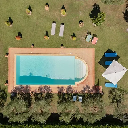 Elena Villa *